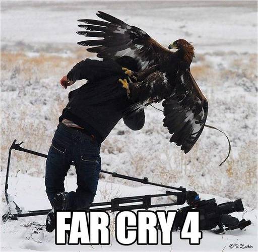 Far Cry 4 - Рецензия на игру «Far Cry 4» + видеообзор для ленивых